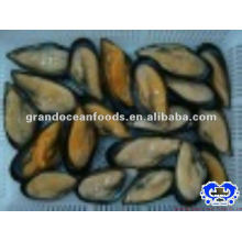 Frozen Boiled Vacuum Packaging Mussel Meat